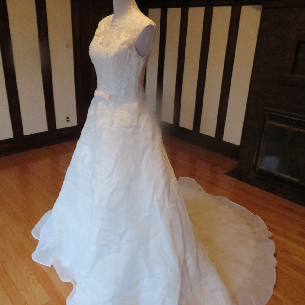 La Sposa by Pronovias Wedding Dress Hakem - Picture 5 of 8